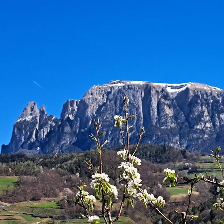 Apartmán Pignathof Rosacea Campodazzo Exteriér fotografie